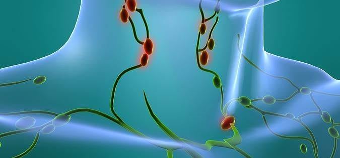 Důležitost Lymfatických uzlin